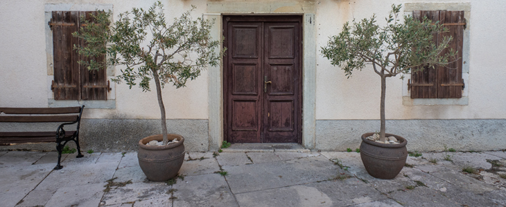 Casa Rossa Motovun, nočitev z zajtrkom - Kuponko.si