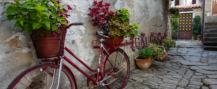 Casa Rossa Motovun, nočitev z zajtrkom - Kuponko.si