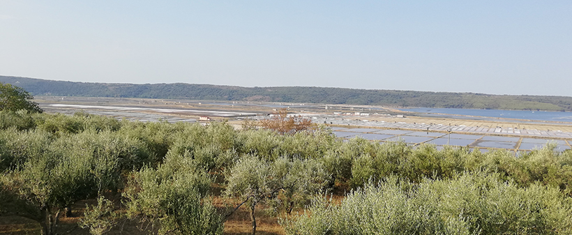 Salvia Guest house; pomladni oddih - Kuponko.si