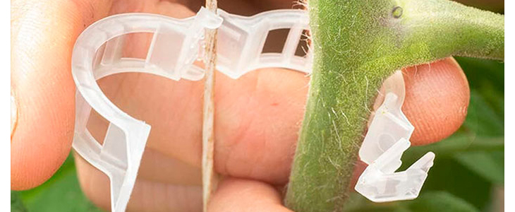 SnapClips sponke za stabilno in pokončno rast rastlin! - Kuponko.si