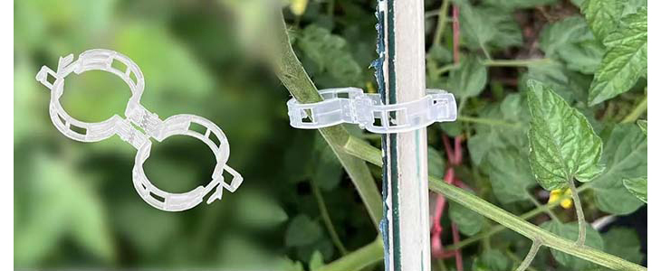 SnapClips sponke za stabilno in pokončno rast rastlin! - Kuponko.si