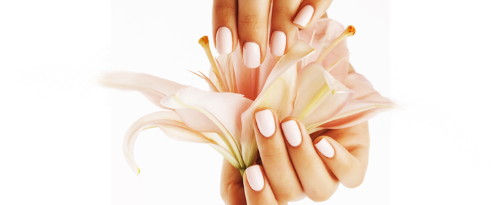 Lepotni studio Shine: estetska pedikura, lakiranje - Kuponko.si