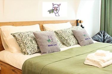 Alpaka Land, zimsko druženje za alpakami