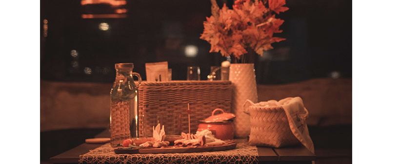 Alpaka Land, zimsko druženje za alpakami - Kuponko.si