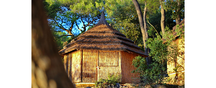 Pine beach resort, Pakoštane: mobilne hiške - Kuponko.si