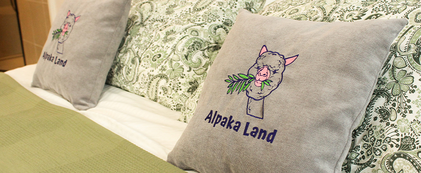 Alpaka Land, oddih in druženje z alpakami - Kuponko.si