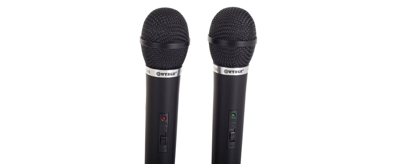 Brezžični karaoke sistem z 2 mikrofonoma! - Kuponko.si