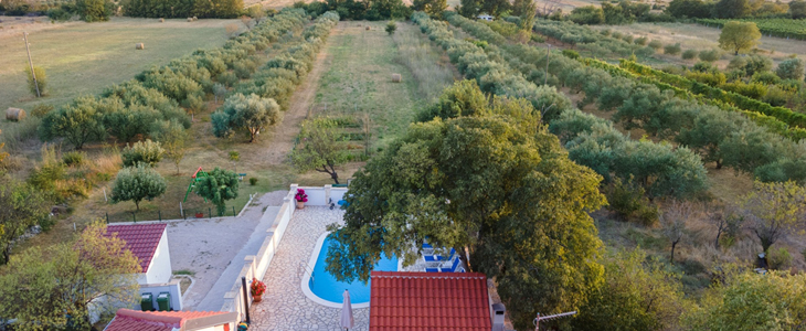 Villa Grandfathers Courtyard v Stankovcih, najem vile - Kuponko.si
