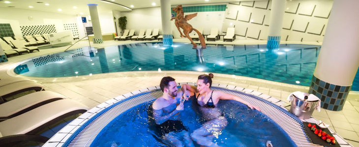 Hotel Zagreb 4*, Rogaška Slatina: oddih s psom - Kuponko.si