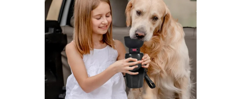 Dogbottle steklenica za vodo za pse - Kuponko.si