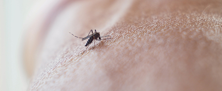 HIT FLYING INSECT KILLER - sprej proti letečimi insekti - Kuponko.si