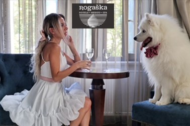 Hotel Zagreb 4*, Rogaška Slatina: oddih s psom