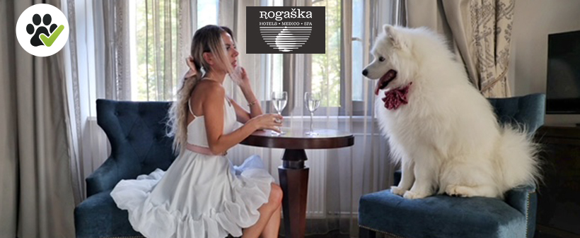 Hotel Zagreb 4*, Rogaška Slatina: oddih s psom - Kuponko.si