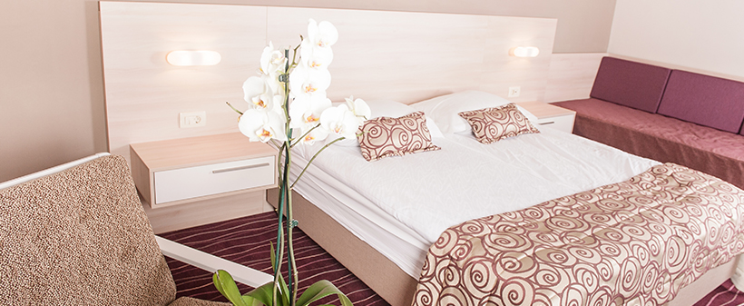 Hotel Zagreb 4*, Rogaška Slatina: oddih s psom - Kuponko.si