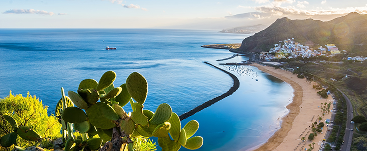 MSC Musica Tenerife-Gran Canaria-Madeira - Kuponko.si