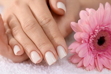 Belleza studio, gel podaljševanje nohtov