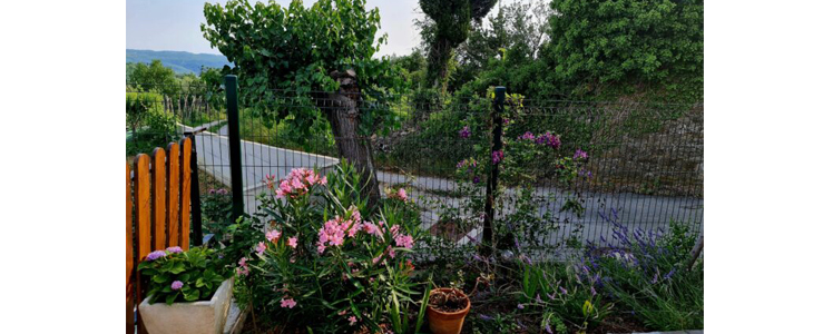 Casa Villanova Romance, istra: oddih  - Kuponko.si