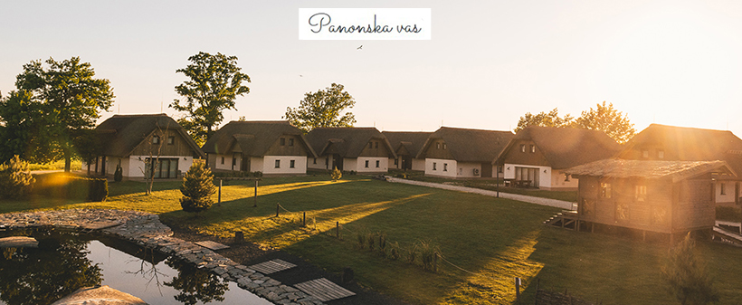 Panonska vas v Prekmurju - panonska vila z bazenom - Kuponko.si