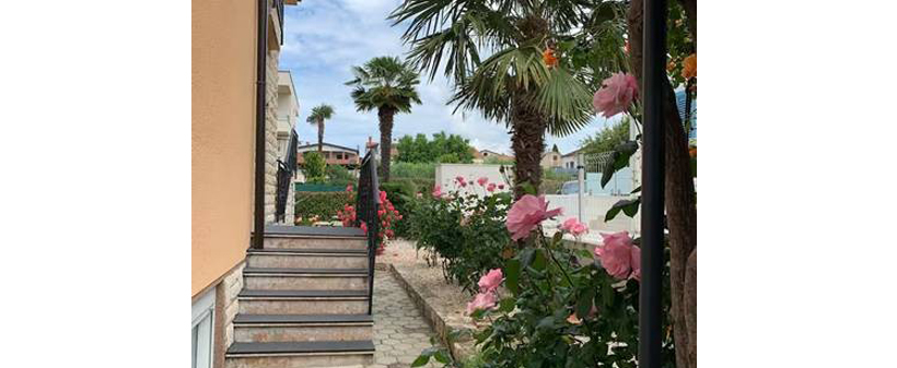 Apartmaji Kivi, Novigrad, morski oddih - Kuponko.si