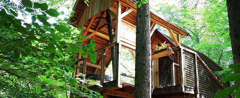 Glamping Ribno, Bled: oddih v naravi - Kuponko.si