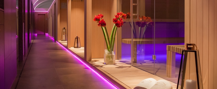 Hotel Zagreb 4*, Rogaška Slatina: oddih s psom - Kuponko.si