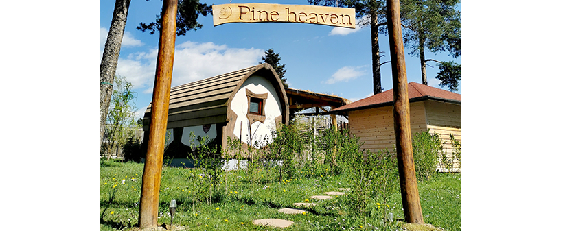Wellness Pine Heaven: najem savne in masažnega bazena - Kuponko.si
