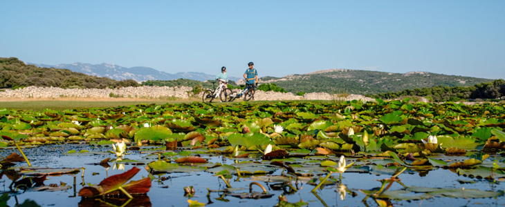 San Marino Resort***, otok Rab - Kuponko.si