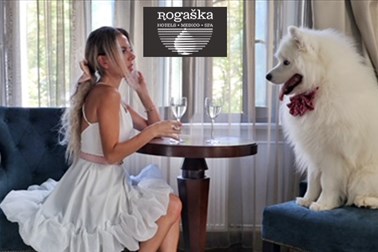 Hotel Zagreb 4*, Rogaška Slatina: oddih s psom